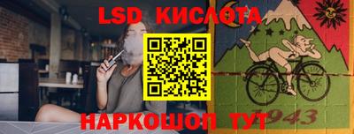винт Новодвинск