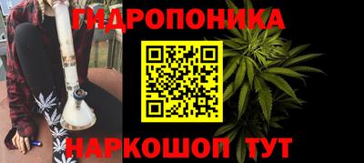 шишки Новозыбков