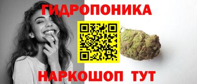 шишки Новозыбков