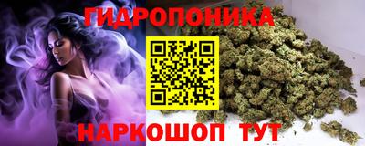 шишки Новозыбков