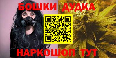 шишки Новозыбков