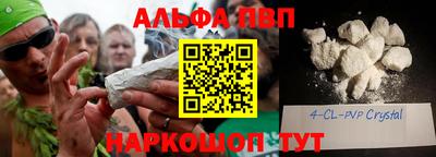 шишки Новозыбков
