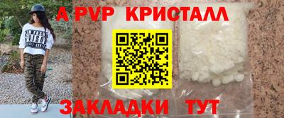 шишки Новозыбков
