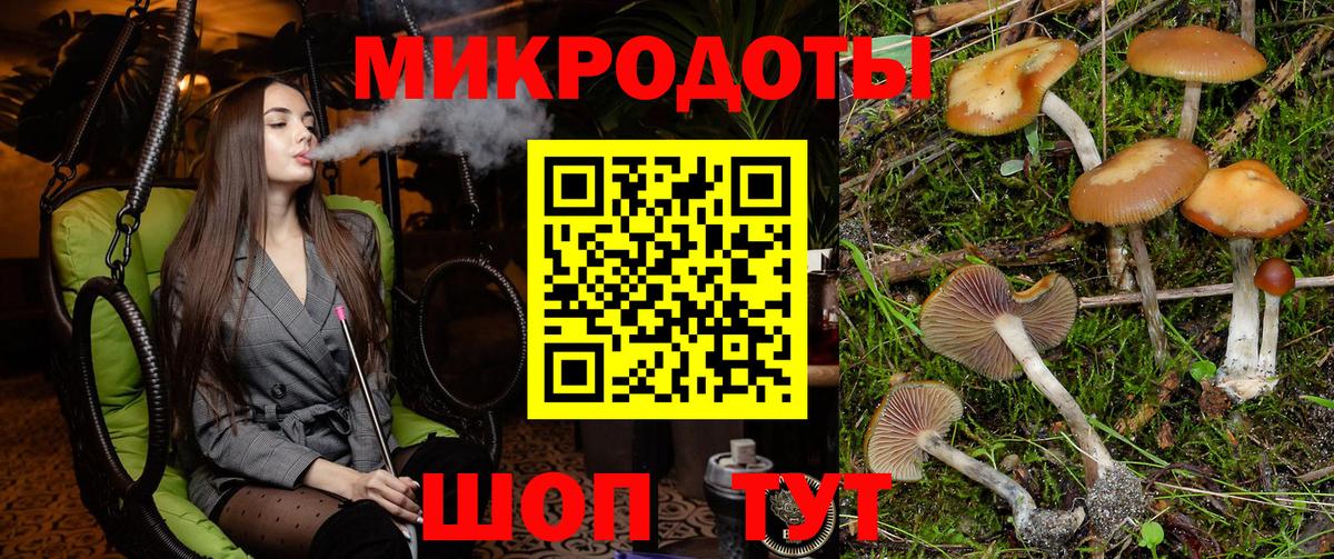 Псилоцибиновые грибы мухоморы Шелехов
