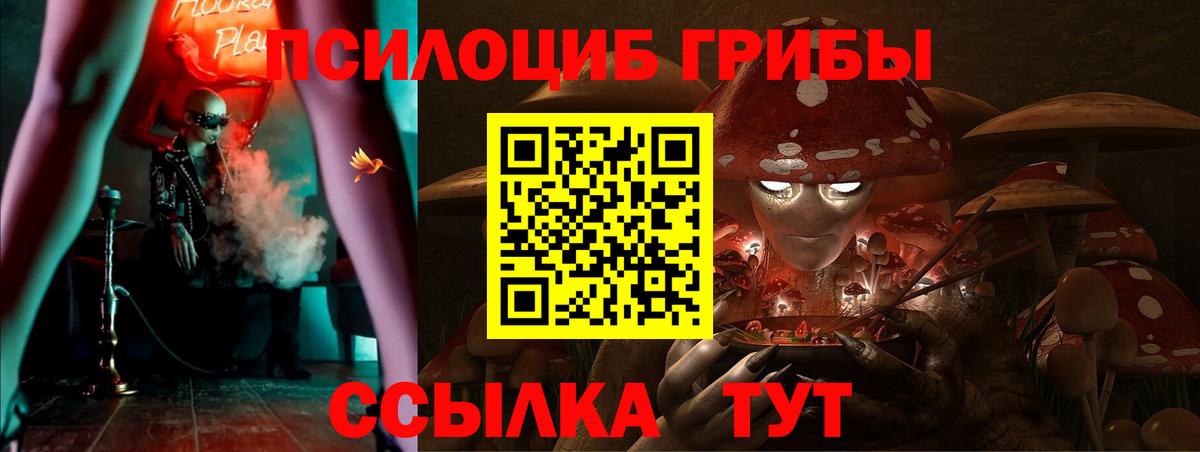 Галлюциногенные грибы ЛСД  Псилоцибиновые грибы Psilocybine cubensis  Вход с VPN  Шелехов 