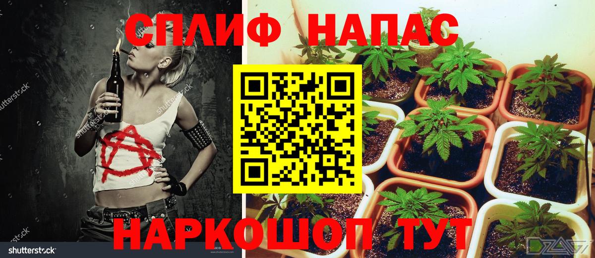 МАРИХУАНА планчик  Шишки марихуана гибрид  Вход с VPN  Шелехов  Бошки Шишки Ganja  МАРИХУАНА план 